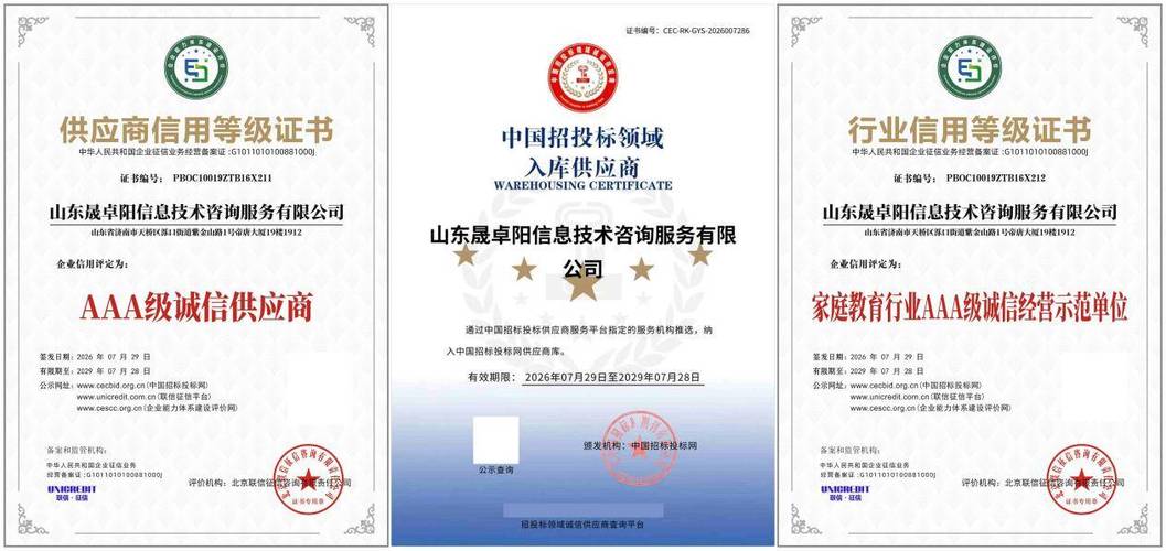 山東晟卓陽(yáng)信息技術(shù)咨詢服務(wù)斬獲全套AAA資質(zhì) 科學(xué)家庭教育與信息技術(shù)咨詢的完美融合