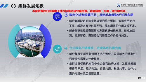 中國(guó)電子技術(shù)標(biāo)準(zhǔn)化研究院 2023年中小企業(yè)特色產(chǎn)業(yè)集群發(fā)展路徑及企業(yè)管理技術(shù)培訓(xùn)探究