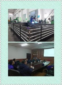 質(zhì)量提升 貴在行動(dòng) 系統(tǒng)化活動(dòng)策劃方案